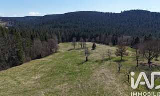 Terrain  19000 m² à vendre à Liézey (88400)