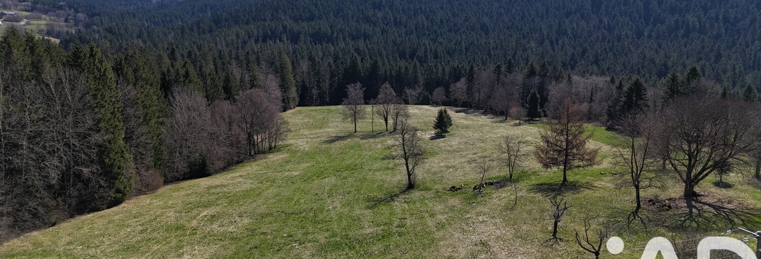 Terrain  19000 m² à vendre à Liézey (88400)