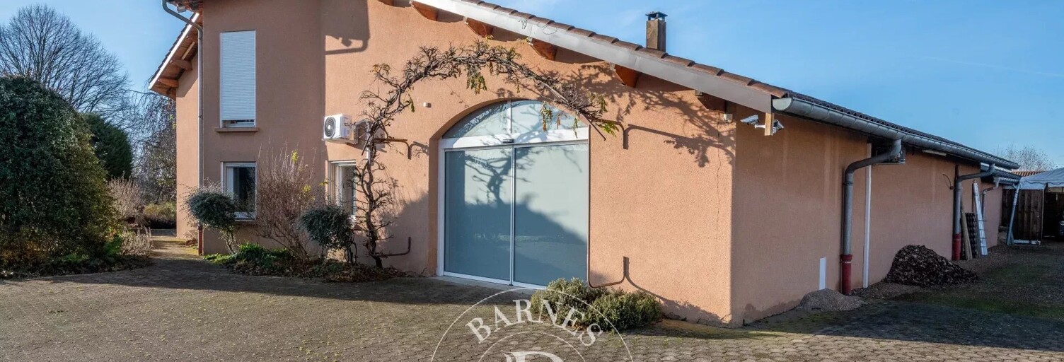 Maison 8 Pièces 317 m² à vendre à Chaleins (01480)