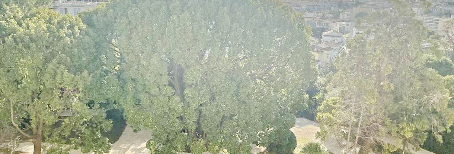 Appartement 6 Pièces 174 m² à vendre à Cannes (06400)