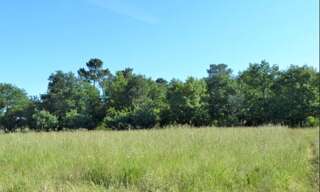 Terrain  601 m² à vendre à Saint-Quentin-de-Baron (33750)