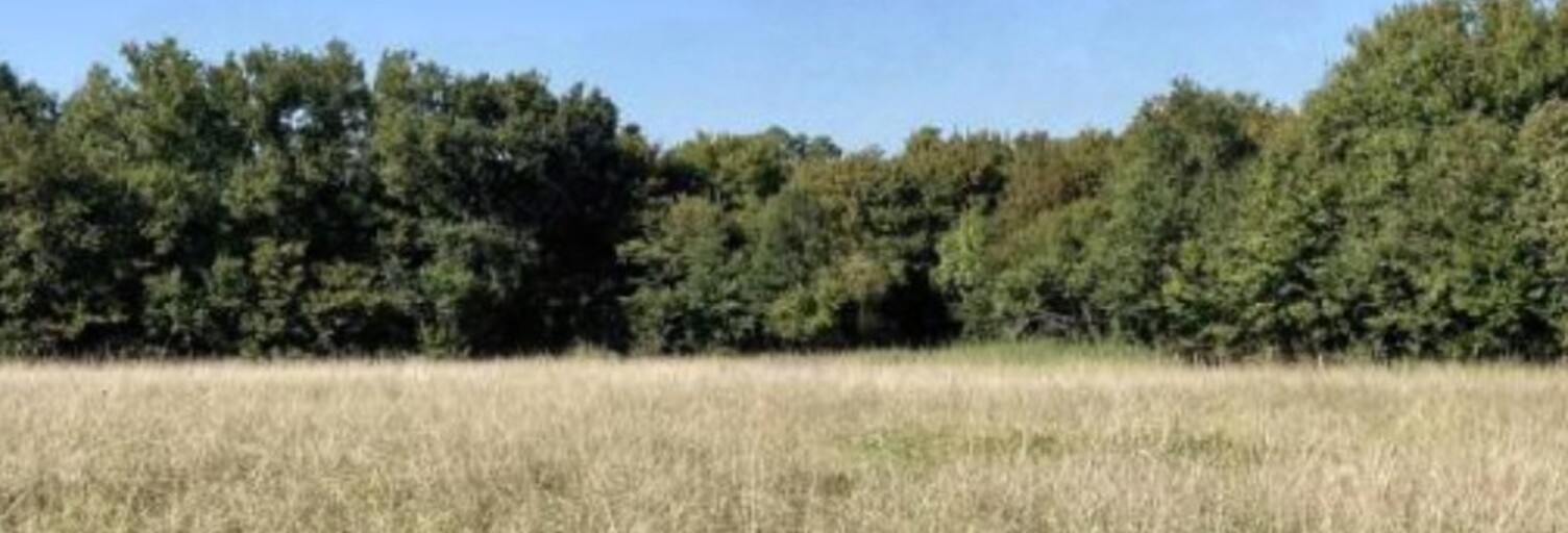 Terrain  475 m² à vendre à Portets (33640)