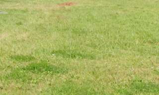 Terrain  606 m² à vendre à Cérons (33720)