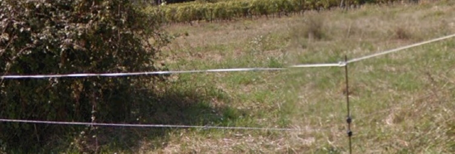 Terrain  1200 m² à vendre à Capian (33550)