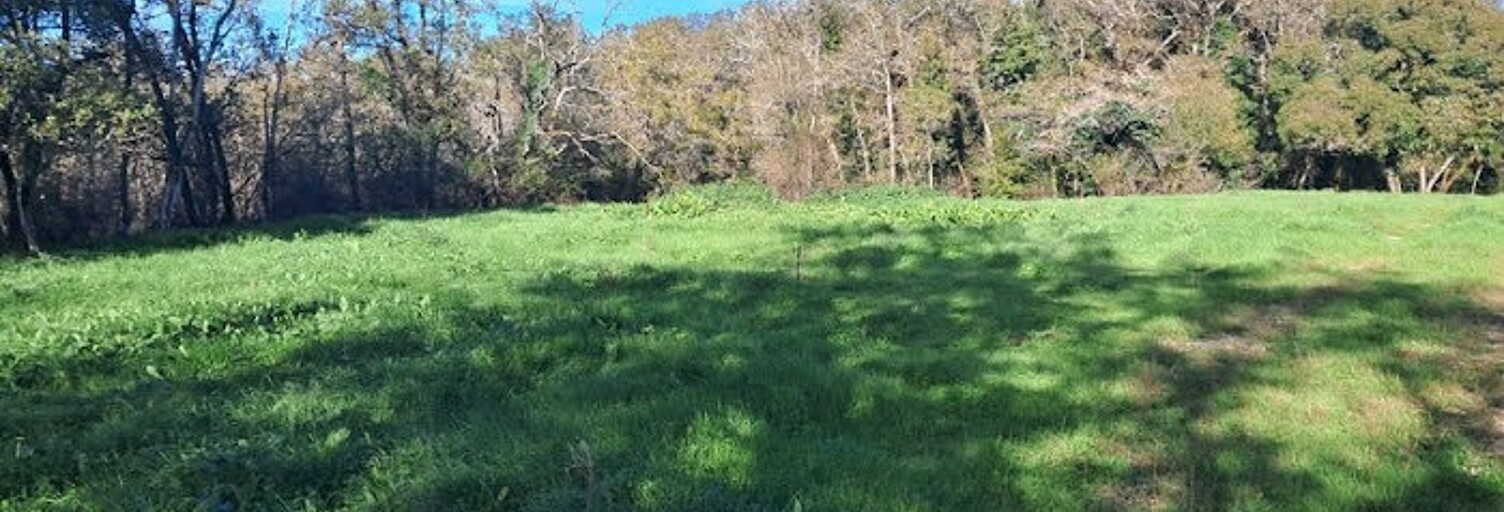 Terrain  515 m² à vendre à Gradignan (33170)