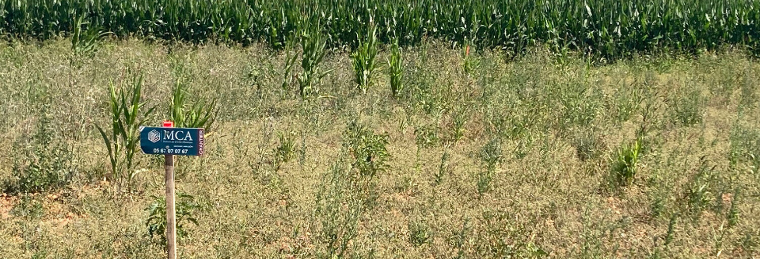 Terrain  630 m² à vendre à Balanzac (17600)