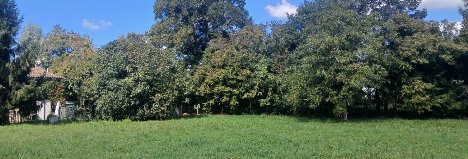 Terrain  1000 m² à vendre à Bayon-sur-Gironde (33710)