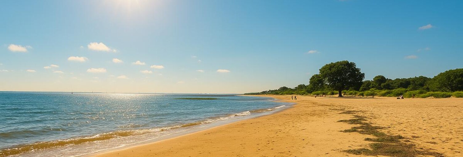 Terrain 900 m² à construire Lanton (33138)