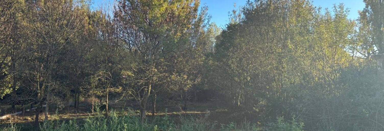 Terrain  1197 m² à vendre à Tournefeuille (31170)