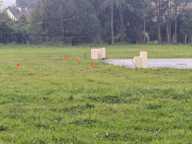 LIGNOL TERRAIN A BATIR VIABILISE DE 674m² — photo 3