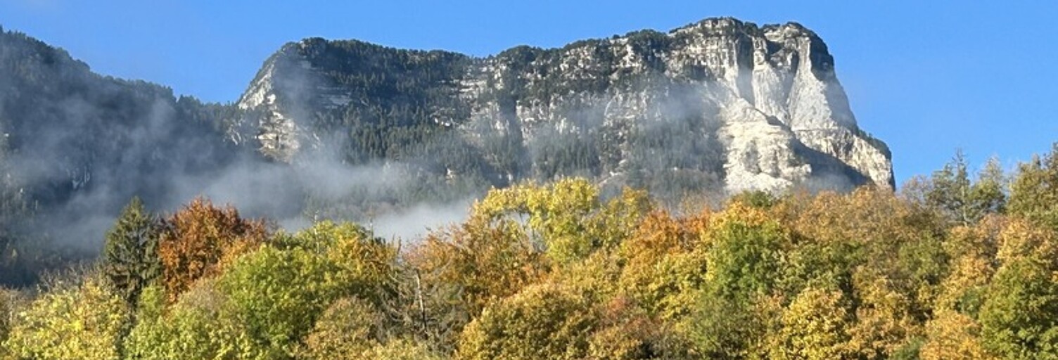 Maison 8 Pièces 134 m² à vendre à Chapareillan (38530)