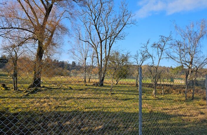 Terrain à vendre, secteur THAON LES VOSGES à  IGNEY (88), de 12593m² dont une partie constructible — photo 4