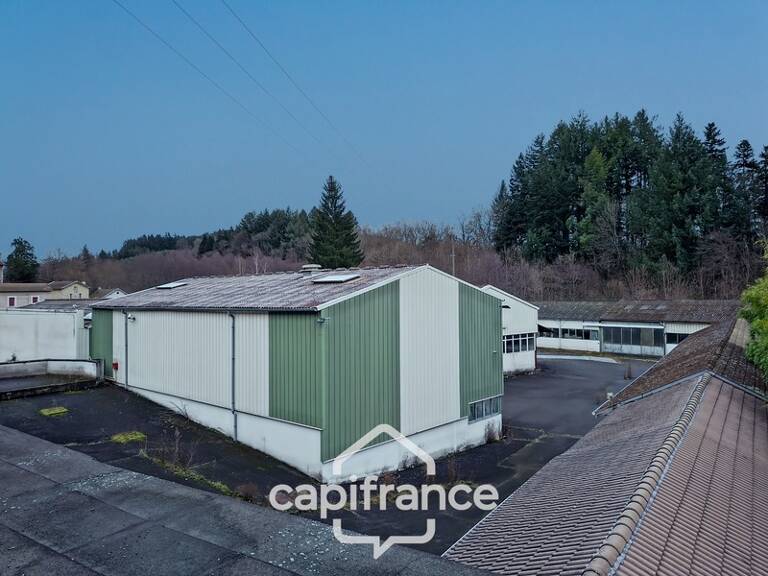 Ancienne usine à vendre CELLES SUR DUROLLE (63) — photo 1