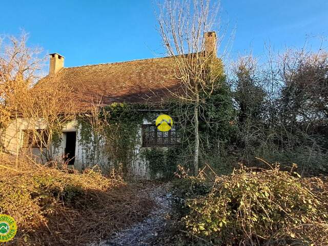 Maison avec grand jardin — photo du bien