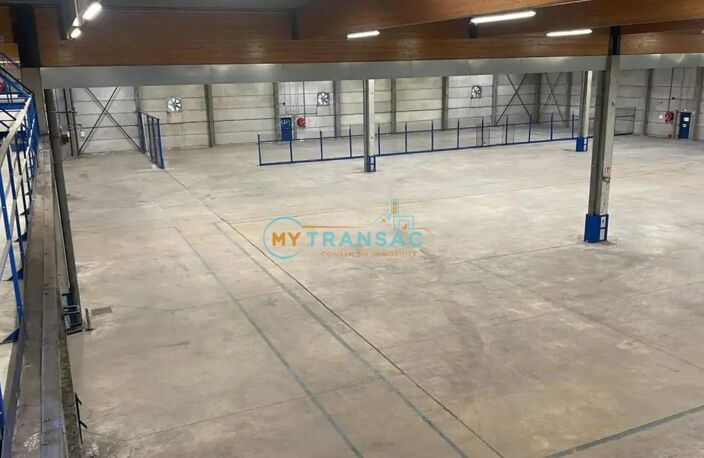 A Louer bâtiment indépendant de stockage de 5 023m² à St-Thibault-des-Vignes — photo 5
