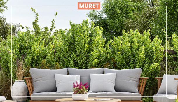 Appartement 3 pièces  à vendre Muret 31600