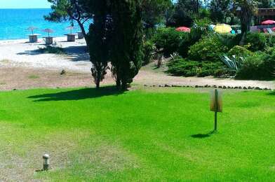 Appartement 1 pièces 99500 €