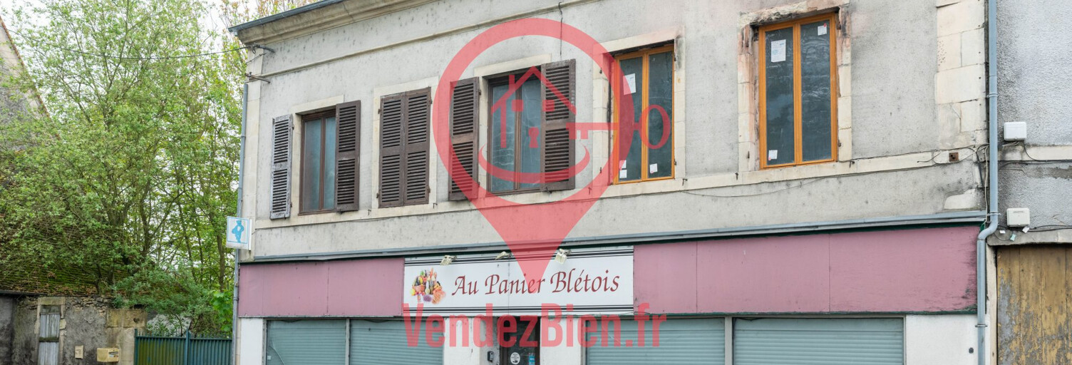 Maison 6 Pièces 300 m² à vendre à Blet (18350)