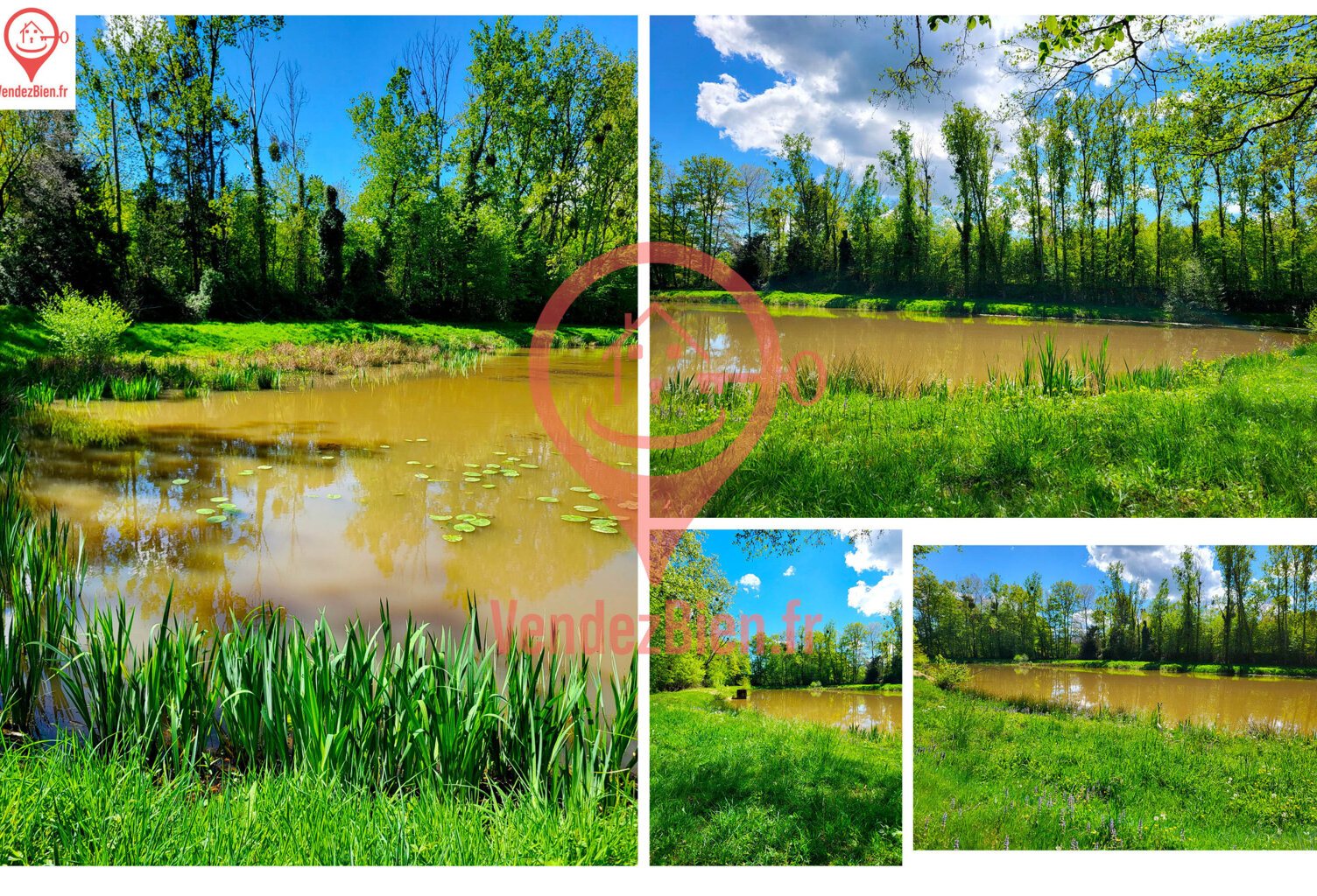 Etang pour la pêche - 5200 m2 sur terrain 9062 m2 — photo 1