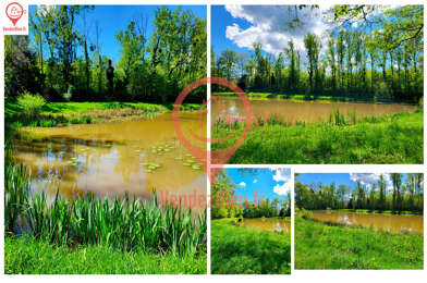 Terrain  55000 €