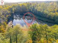 Etang pour la pêche - 5200 m2 sur terrain 9062 m2 — photo 3