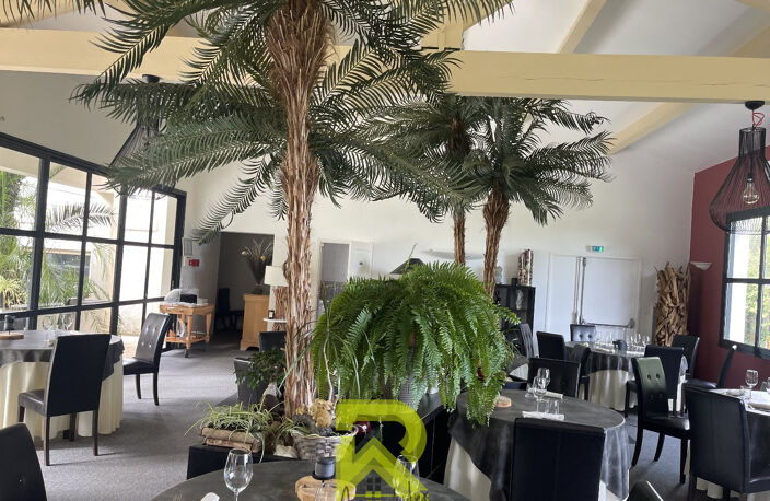 Domaine avec une activité commerciale — photo 2