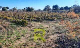 Terrain  22800 m² à vendre à Portiragnes (34420)