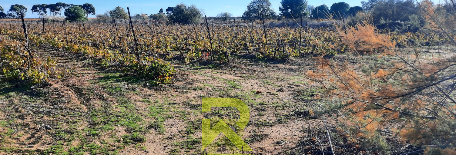 Terrain  22800 m² à vendre à Portiragnes (34420)