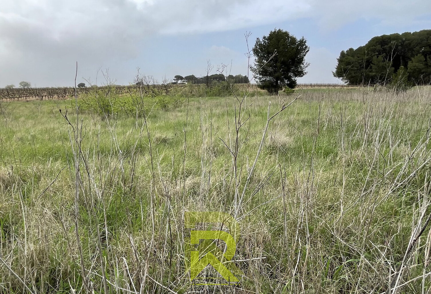 Terrain agricole — photo 1
