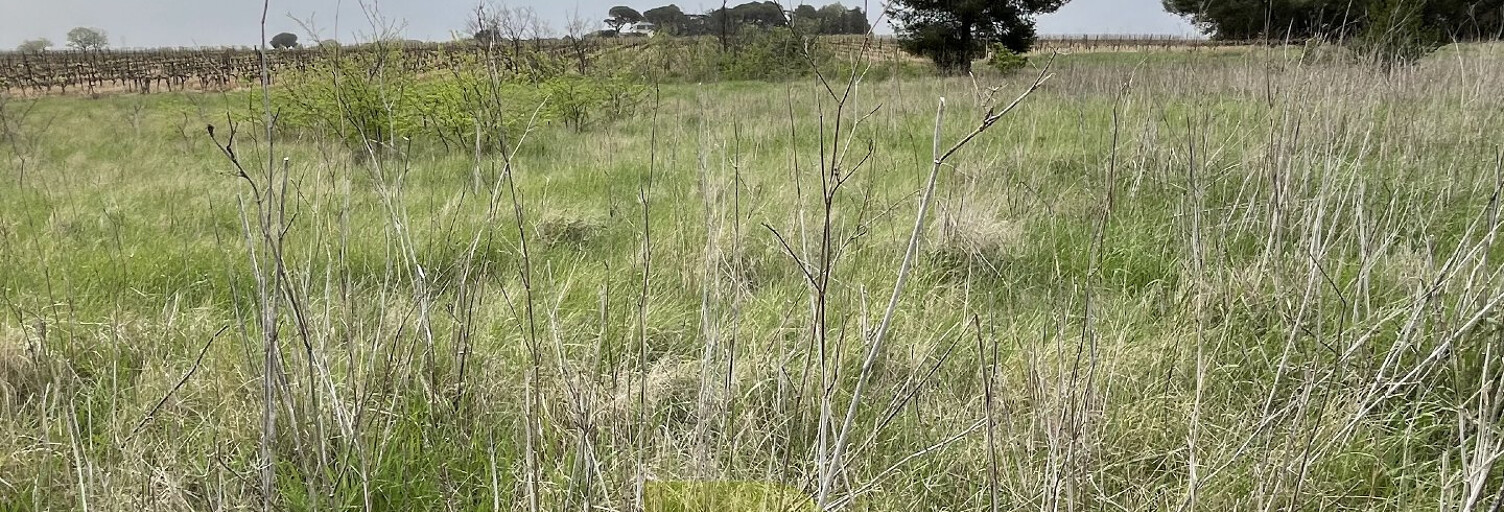 Terrain  4800 m² à vendre à Servian (34290)