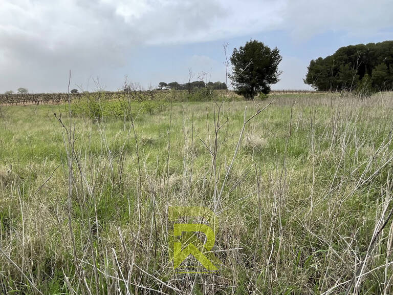 Terrain agricole — photo 1