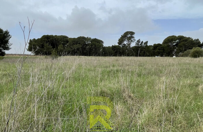 Terrain agricole — photo 2