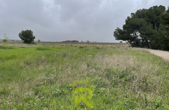 Terrain agricole — photo 3