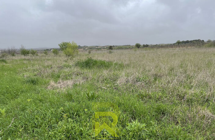 Terrain agricole — photo 4