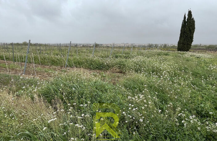 Terrain agricole — photo 5