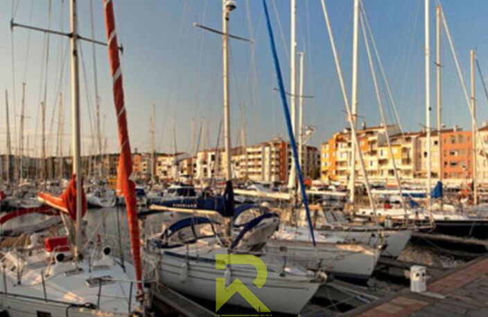 LE CAP D'AGDE - BAR LICENCE 4 TAPAS GLACIER — photo 2