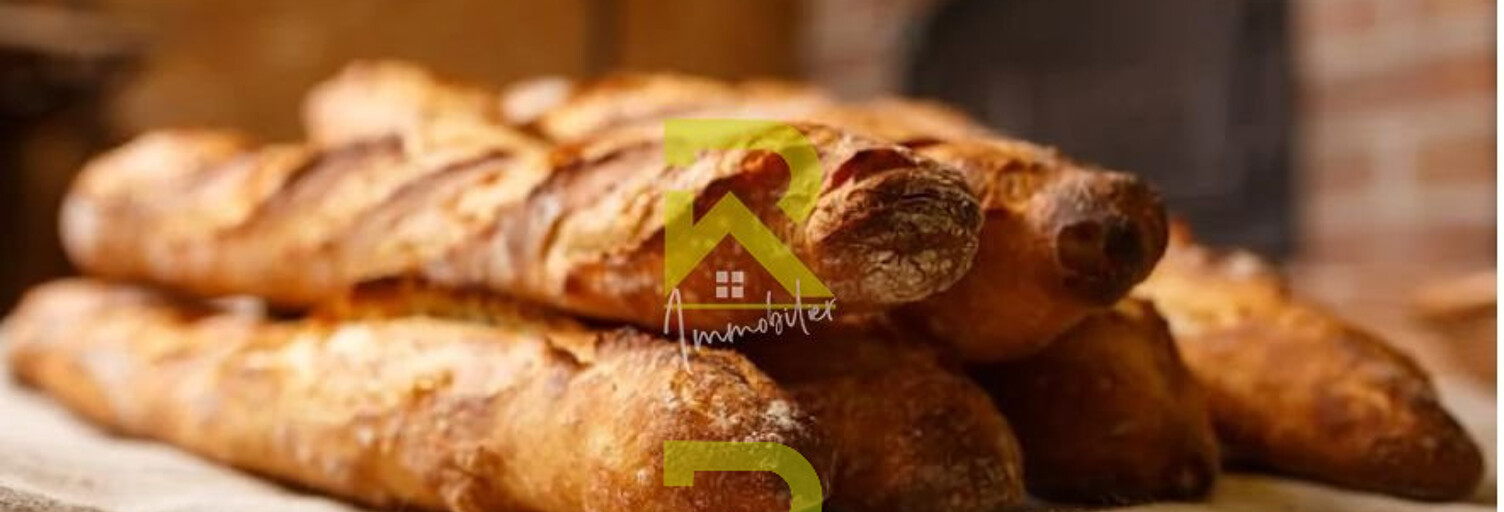 Commerce 4 Pièces 250 m² à vendre à Agde (34300)