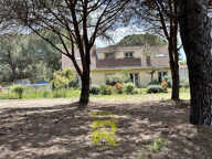 Bessan, belle propriété de 195 m2 , terrain 5881m2, piscine, — photo 3