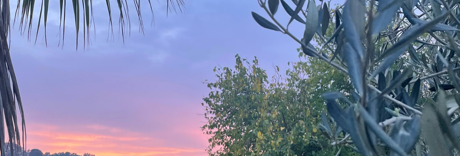 Maison 8 Pièces 294 m² à vendre à Fourques (30300)