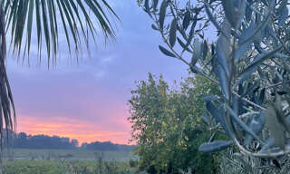 Maison 8 Pièces 294 m² à vendre à Fourques (30300)