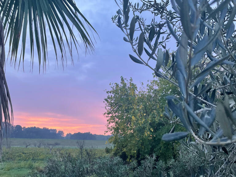 Insolite MAS  à fort potentiel  Coup de coeur assuré ! — photo 1