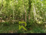 A vendre a Caudebrondre Remise — photo 2