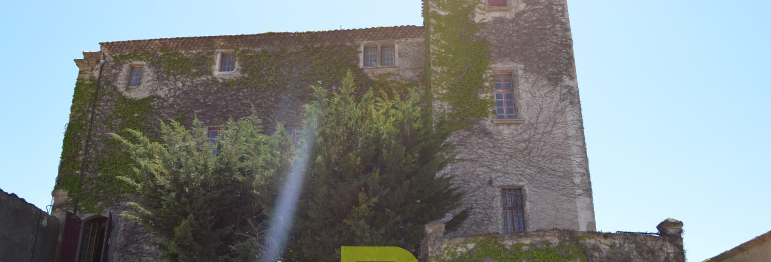 Maison 21 Pièces 360 m² à vendre à Badens (11800)