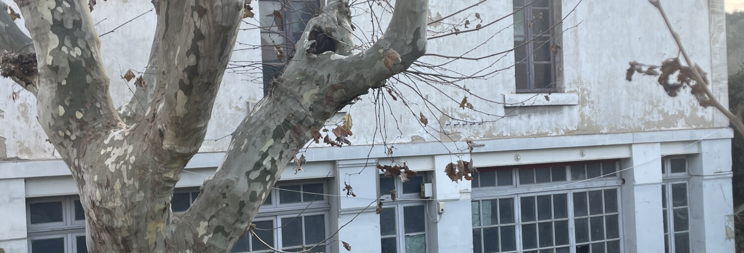 Appartement 2 Pièces 51 m² à vendre à Alleins (13980)