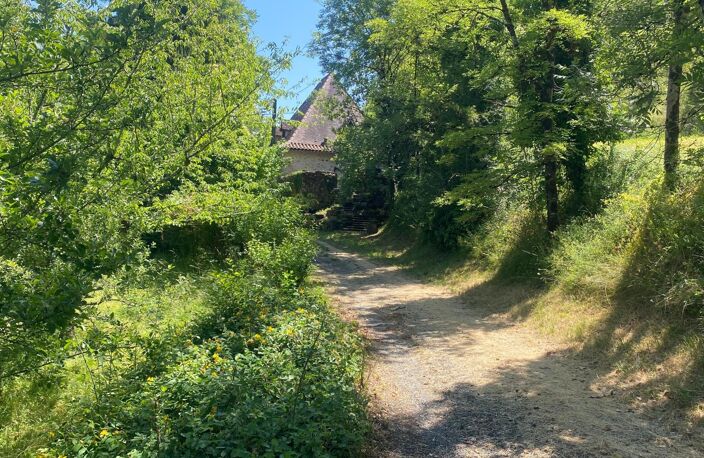 Source, ruisseau, charme, authenticité, zénitude et fraicheur des arbres. — photo 5