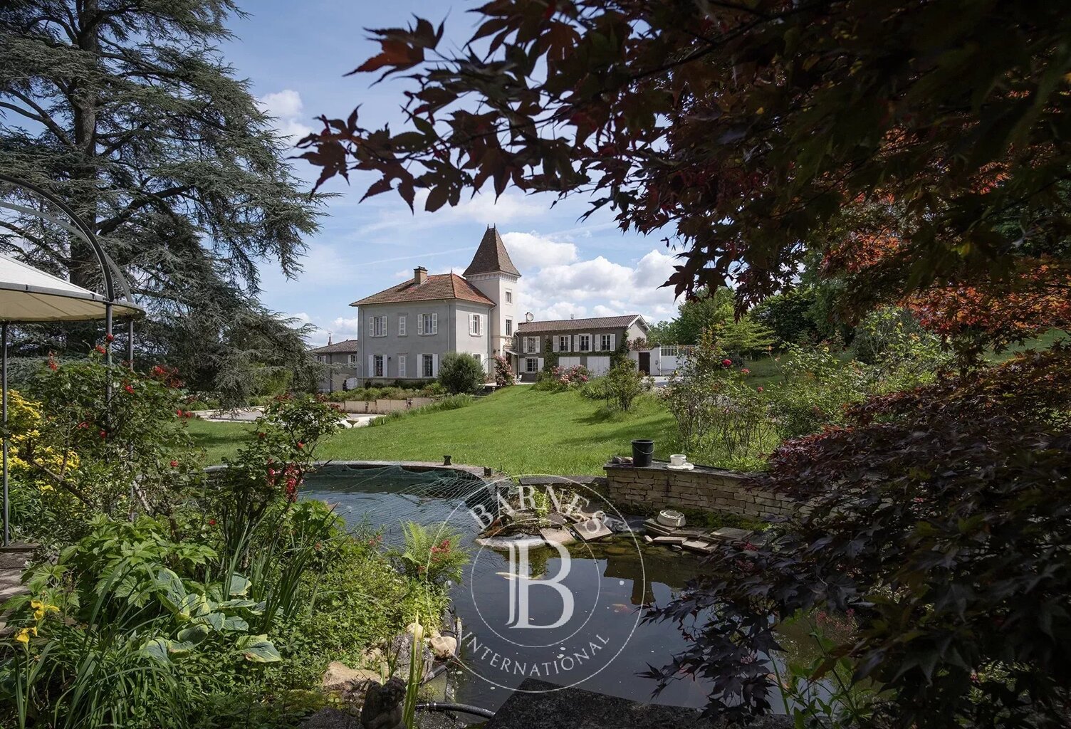 Saint-Didier de Formans - Propriété avec maison de 291m² environ - 5 chambres - Dépendances - Piscine -  Parc clos — photo 1