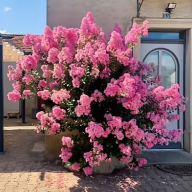 Maison 6 pièces 337000 €