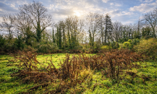 Terrain  1186 m² à vendre à La Ferté-Alais (91590)