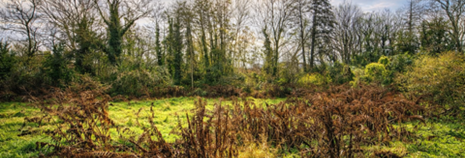 Terrain  1186 m² à vendre à La Ferté-Alais (91590)