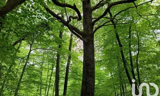 Terrain  8960 m² à vendre à Saint-Sulpice-de-Pommeray (41000)